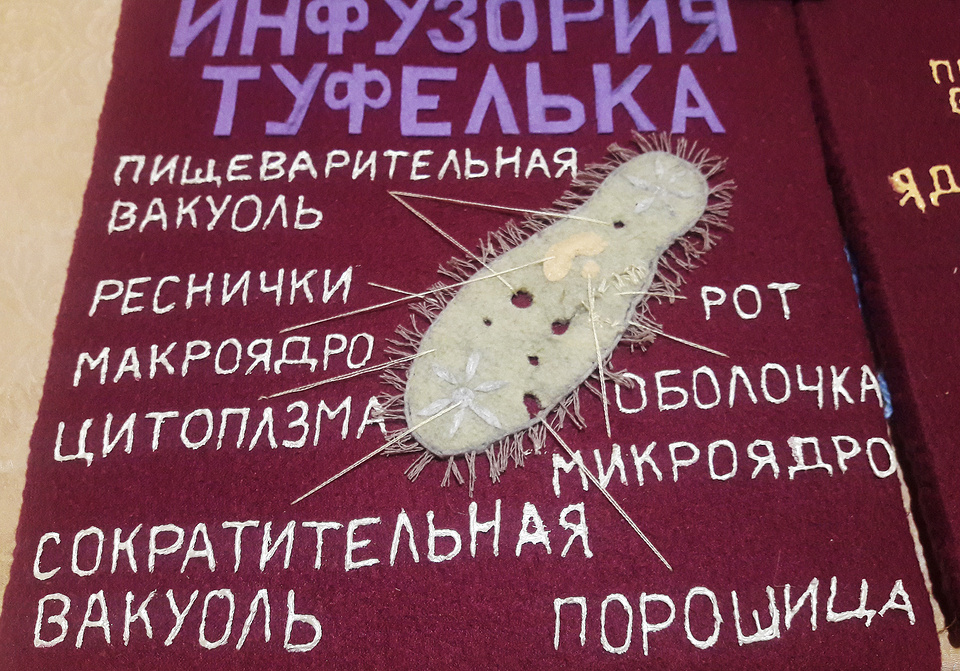 © Валентина Брыкалина/ТАСС