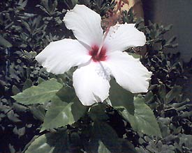 image044_1.jpg