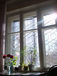 Фото П. Денисова