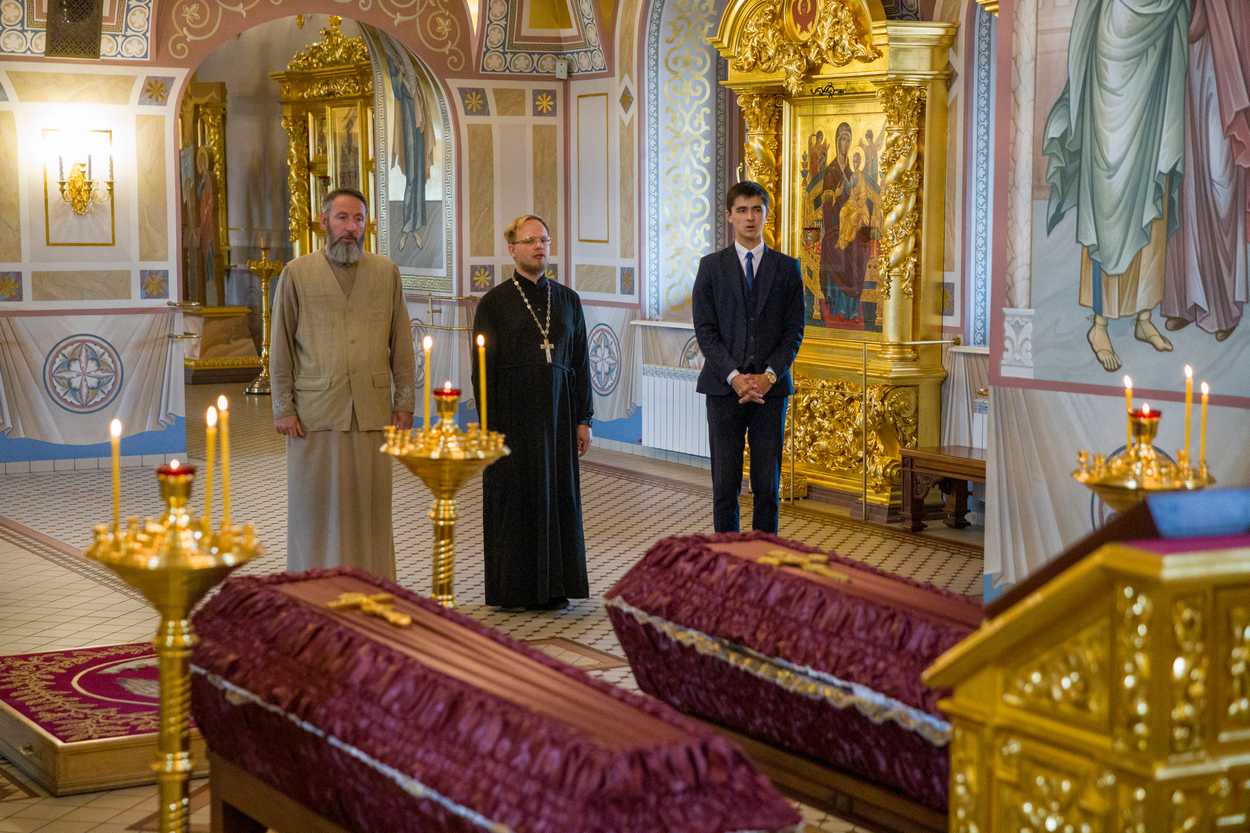 Ливанский кедр