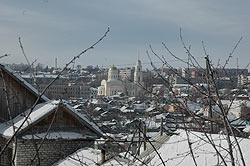 Фото Ю. Ракиной