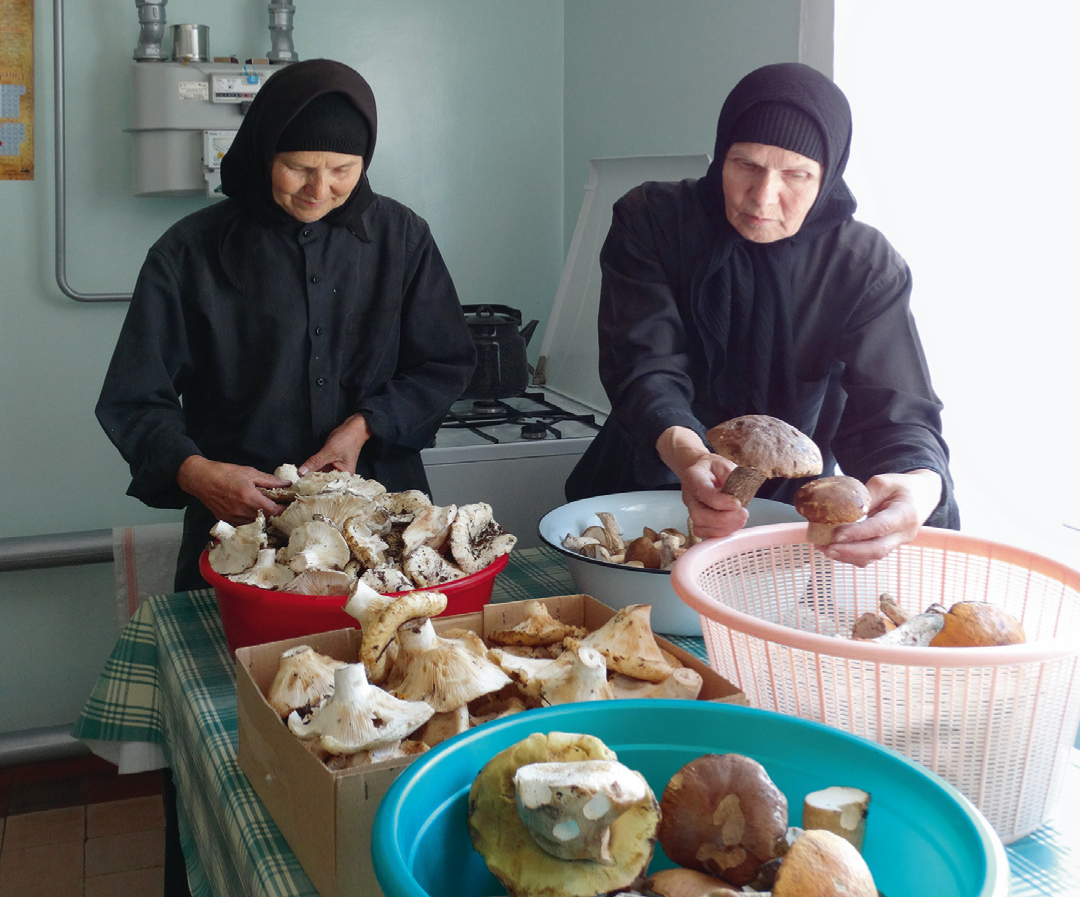 Монахини на послушании
