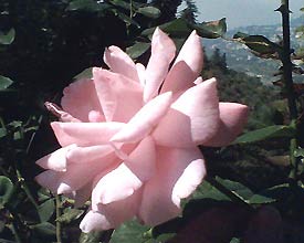image046_1.jpg
