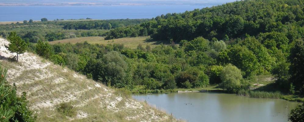 Окрестности села Подлесное, современный вид