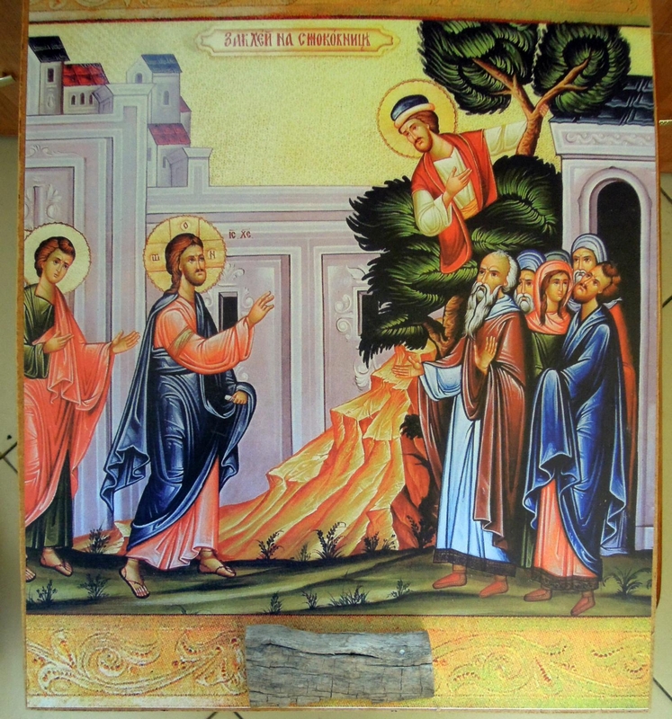 Икона святого Закхея с частицей древа смоковницы