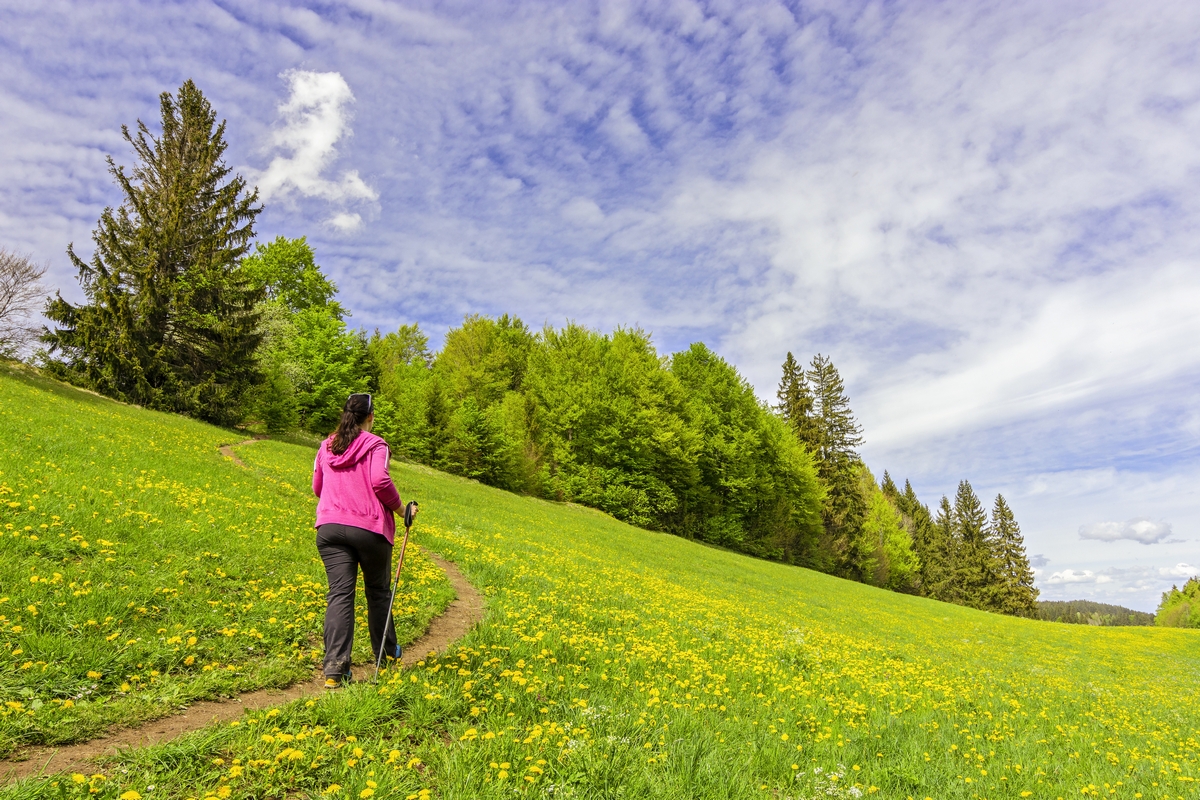 <a href="https://ru.freepik.com/free-photo/view-of-female-hiking-in-a-green-landscape-covered-in-trees-during-the-daytime_15675662.htm#query=%D0%BB%D0%B5%D1%82%D0%BE%20%D0%BB%D1%83%D0%B3%20%D1%87%D0%B5%D0%BB%D0%BE%D0%B2%D0%B5%D0%BA&position=7&from_view=search&track=ais">Изображение от wirestock</a> на Freepik