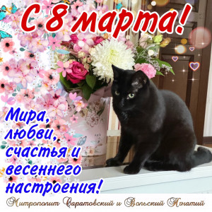 Март 2026