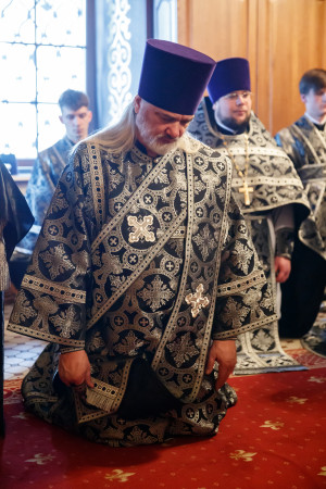 Литургия Преждеосвященных Даров в Свято-Троицком кафедральном соборе Саратова