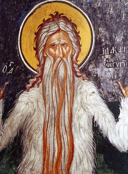 Прп. Макария Великого, Египетского