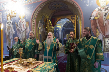 Божественная литургия в Свято-Троицком кафедральном соборе г. Саратова
