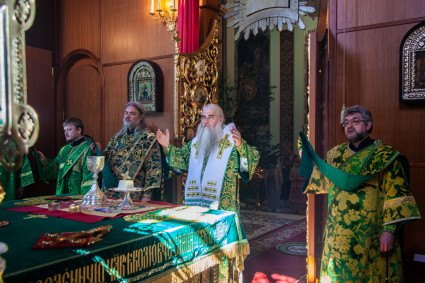 Божественная литургия в храме Сошествия Святого Духа г. Саратова