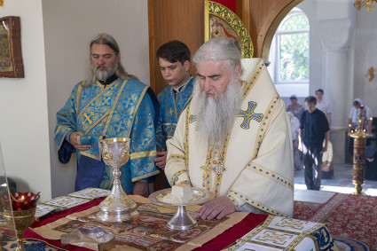 Божественная литургия на Архиерейском подворье — в храме в честь иконы Божией Матери «Утоли моя печали» г. Саратова