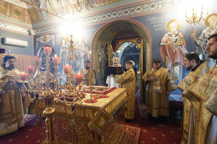 Божественная литургия в Свято-Троицком кафедральном соборе г. Саратова
