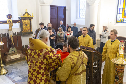 Божественная литургия на Архиерейском подворье — храме в честь иконы Божией Матери «Утоли моя печали» г.Саратова