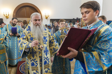 Божественная литургия в храма в честь иконы Божией Матери «Всех скорбящих Радость» г. Саратова