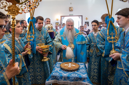 Божественная литургия в храме Владимирской иконы Божией Матери с. Багаевка