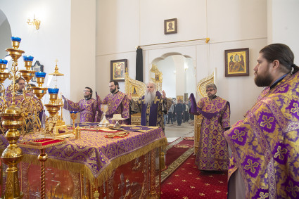 Божественная литургия в храме в честь Рождества Христова г.Саратова
