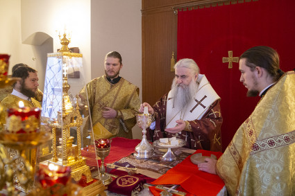 Божественная литургия на Архиерейском подворье — храме в честь иконы Божией Матери «Утоли моя печали» г. Саратова