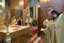 Божественная литургия в Духосошественском кафедральном соборе Саратова