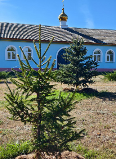 Храм Рождества Христова п. Синенькие